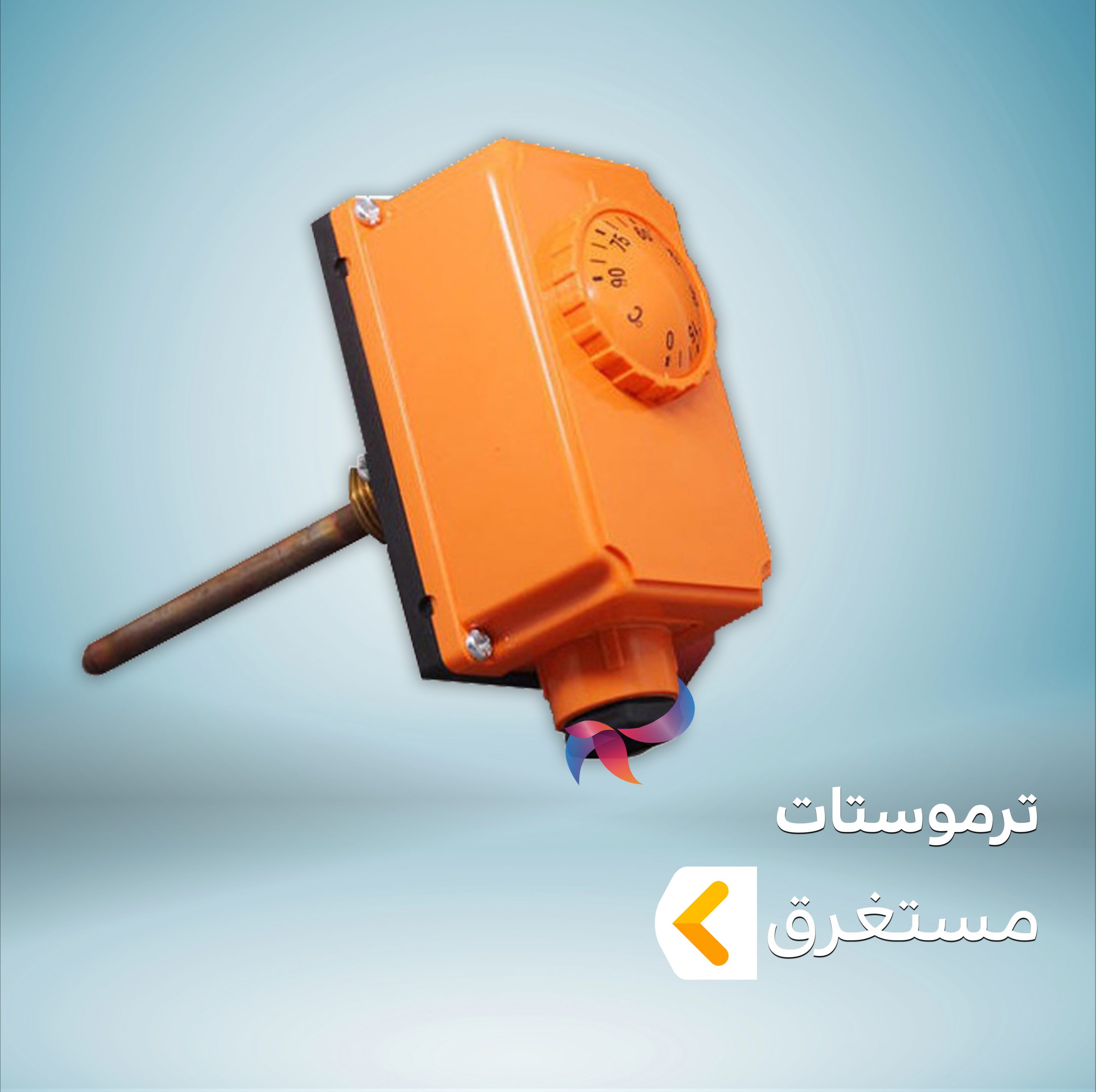 ترموستات مستغرق