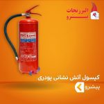 کپسول آتش نشانی پودری ( پودر و گاز ) پیشرو