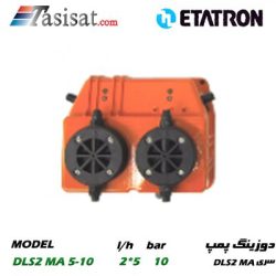 DLS2 MA 5-10