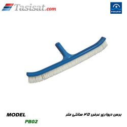 برس نظافت استخر پول استار
