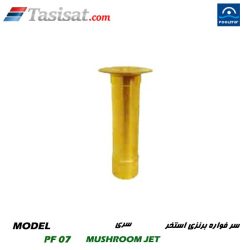 سر فواره برنزی استخر پول استار