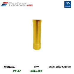 سر فواره برنزی استخر پول استار