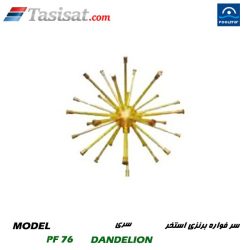 سر فواره برنزی استخر پول استار