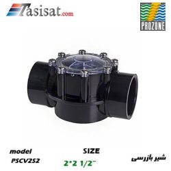 شیر بازرسی هایوارد 2*2 1/2" مدل PSCV2S2