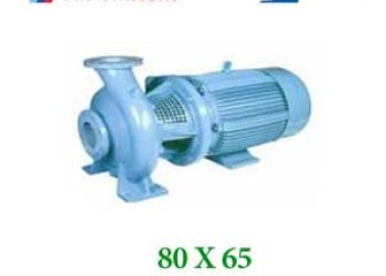 پمپ آب ابارا تک پروانه سری 80X65